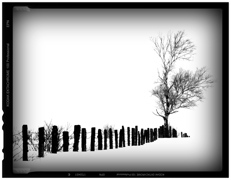 Illustration for article titled Shooting Challenge: Gray Winter